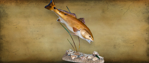 redfish2